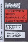 Etikette zu Silesis dembickyi (NHMW-ZOO-COL-0008835)